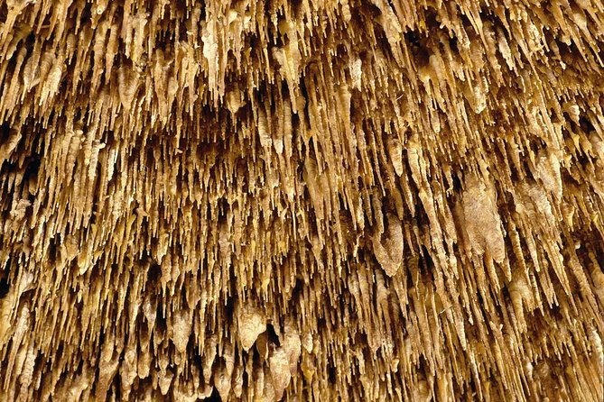 caves-of-drach-half-day-tour-with-boat-trip-and-music-concert-2