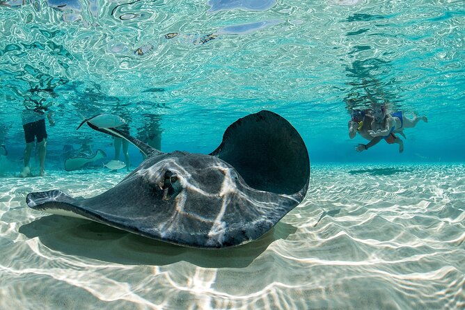 cayman-combo-tour-stingrays-starfish-point-and-crystal-caves