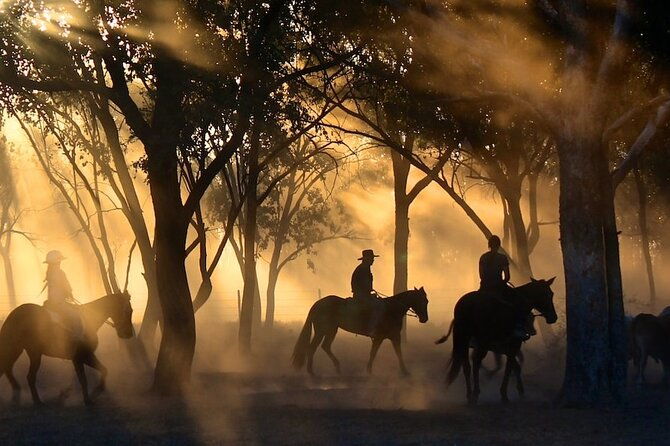 champagne-and-charcuterie-sunset-trail-ride