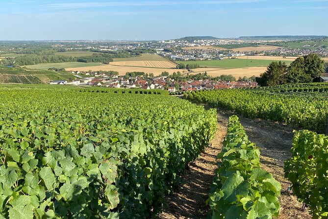 champagne-cellars-vineyards-tour-from-reims-full-day