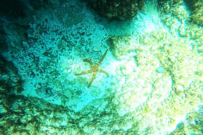 chania-guided-snorkeling-and-boat-excursion-2