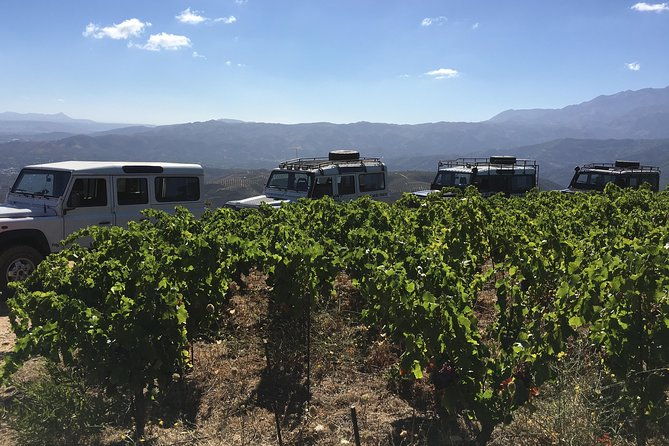 chania-shore-excursion-off-road-vineyard-and-winery-tour-half-day-2