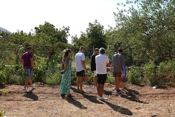 chania-sourdough-bread-baking-class-olive-oil-tasting-2