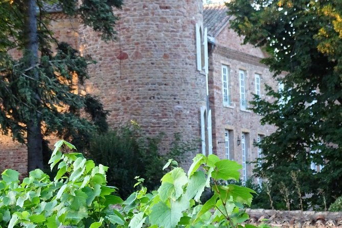 cheese-and-wine-accord-tour-at-chateau-de-champ-renard-2