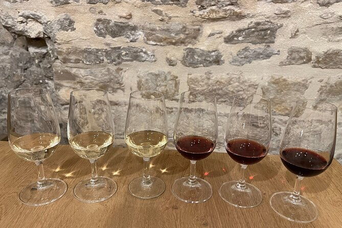 cheese-and-wine-pairing-1-hour-session-in-dijon