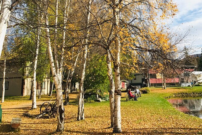 chena-hot-spring-day-tour