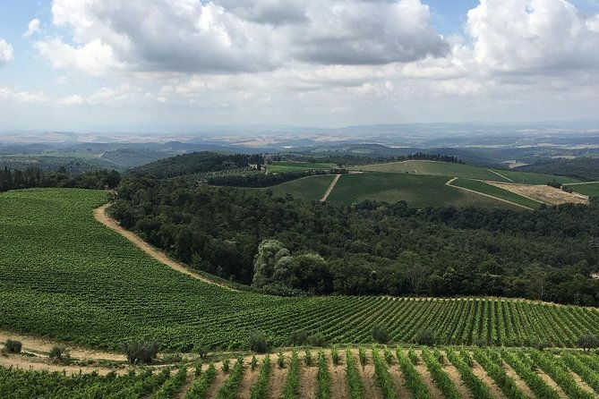 chianti-classico-e-bike-tour