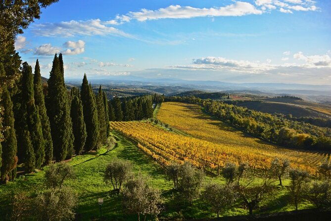 chianti-supertuscan-private-tour-2-wineries-with-light-lunch