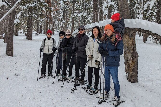 chickadee-ridge-beginner-snowshoe-activity