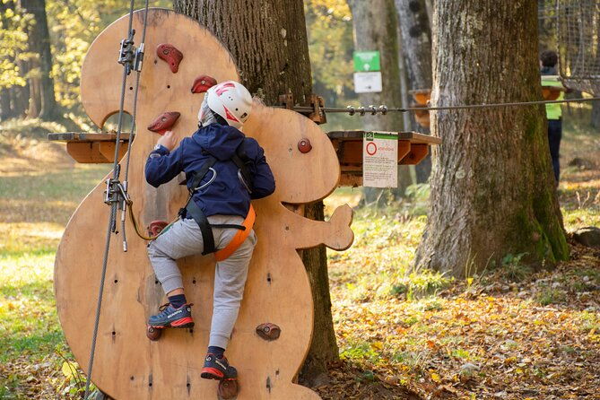 children-daily-ticket-for-adventure-park-in-gravedona