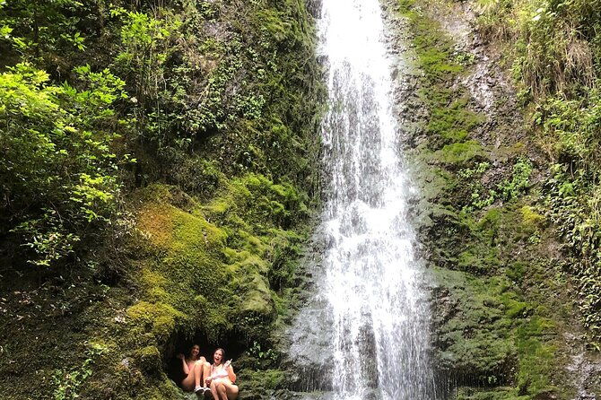 circle-island-tours-swim-with-turtlesprivate-small-group-tours