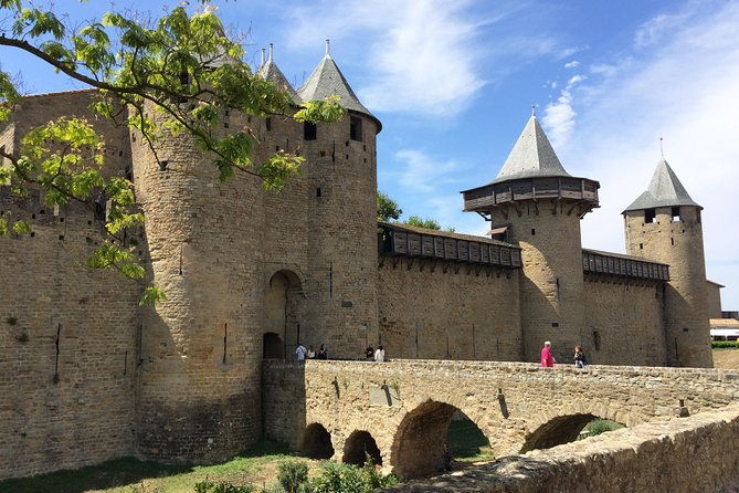 cite-de-carcassonne-and-wine-tasting-private-day-tour-from-toulouse