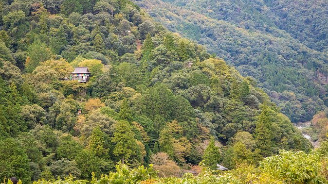 city-escape-arashiyama-park-private-day-trip