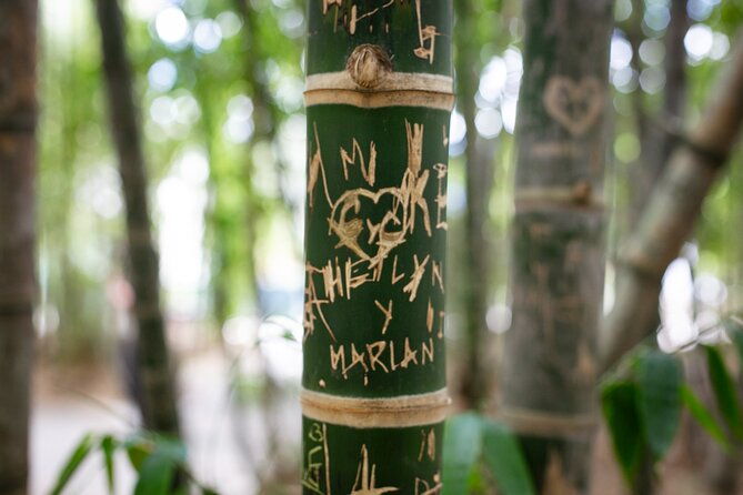 city-tour-medellin-comuna-13-graffititour-paisa-for-a-day