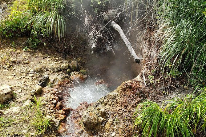 city-tour-with-botanical-gardens-trafalgar-falls-morne-bruce