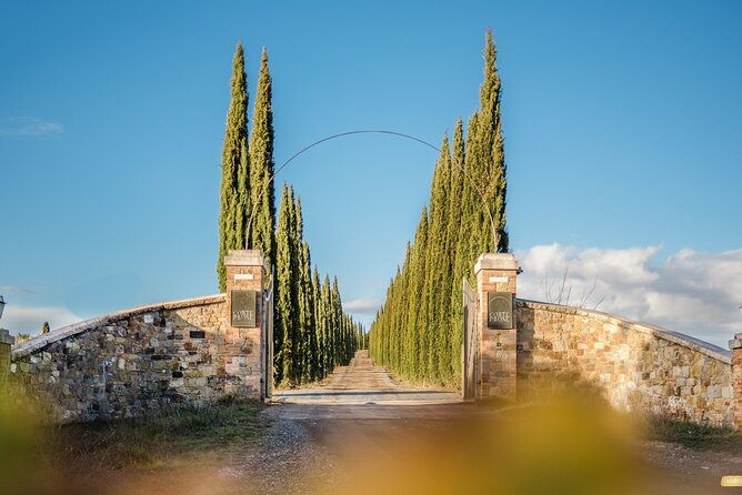classic-wine-tasting-in-montalcino-2