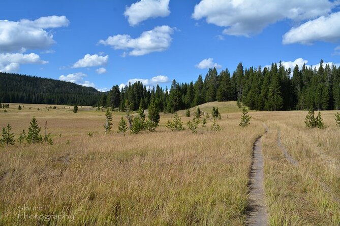 classic-yellowstone-hike-to-the-shores-of-lake-shoshone-private-up-to-8-people