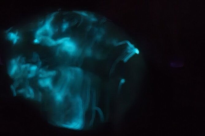 clear-kayak-florida-bioluminescence-tour-beacon-42-titusville