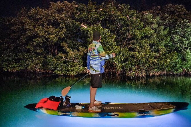 clear-kayak-led-night-glass-bottom-tour-anna-maria-island