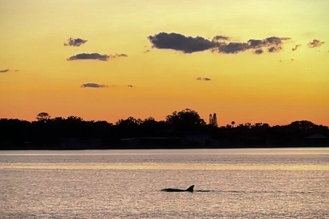 clear-kayak-manatee-viewing-sunset-and-glow-tour-of-crystal-river