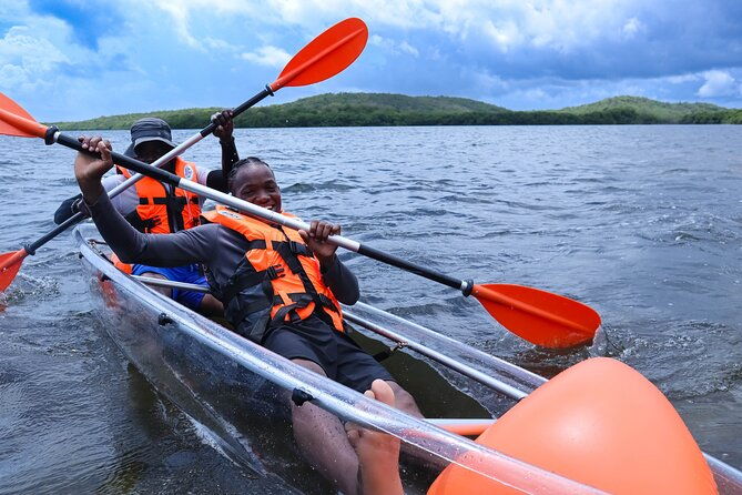 clear-kayak-tour-in-mangrove-antigua