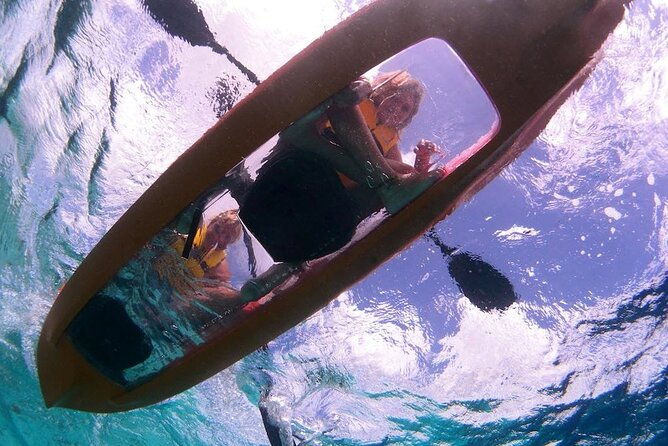 clearbottom-mangrove-kayak-snorkel-tour