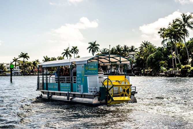 clearwater-island-hop-and-dolphin-watch-with-swimming
