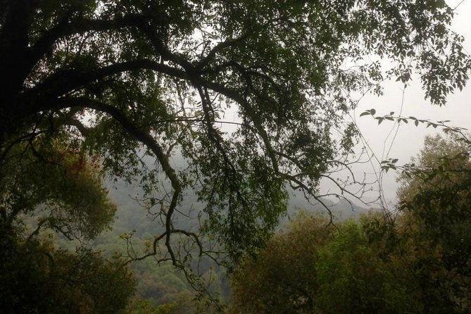 cloud-forest-hiking