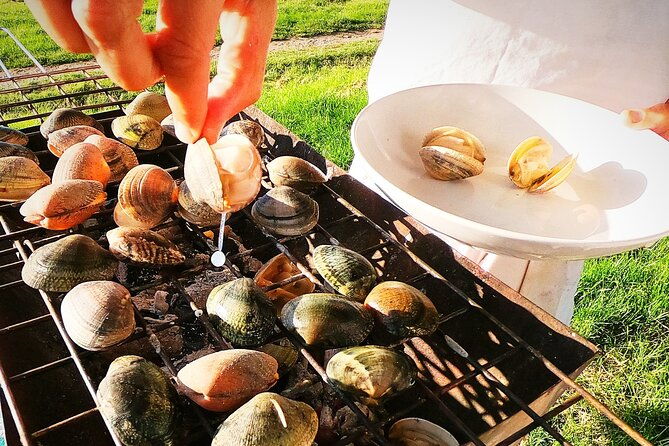 coast-fish-and-txakoli-wine