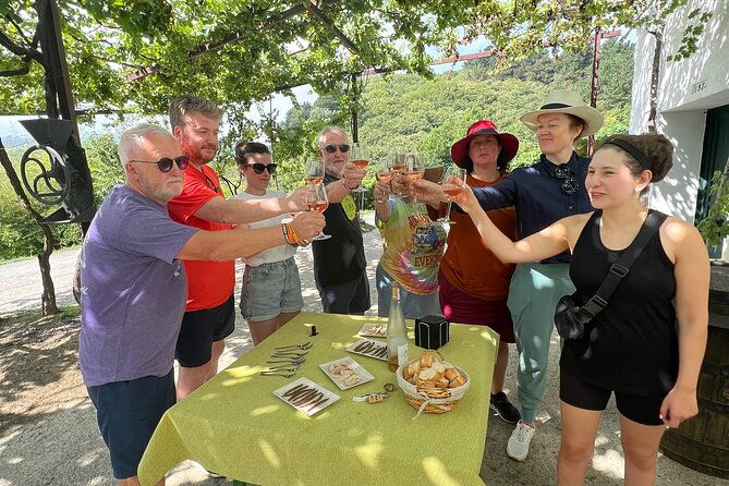 coastal-winery-camino-trail-walking-tour-from-san-sebastian