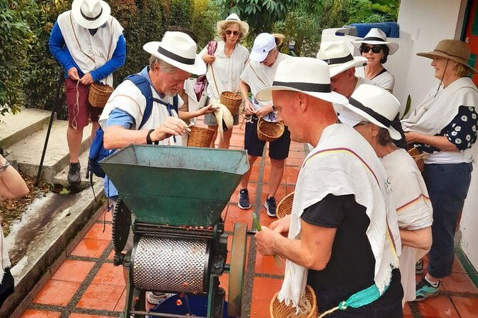 coffee-farm-and-santa-rosa-hot-springs-tour-from-pereira-or-armenia