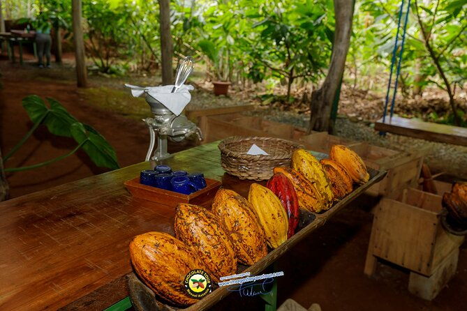 combo-3-manuel-antonio-park-tour-chocolate-tour
