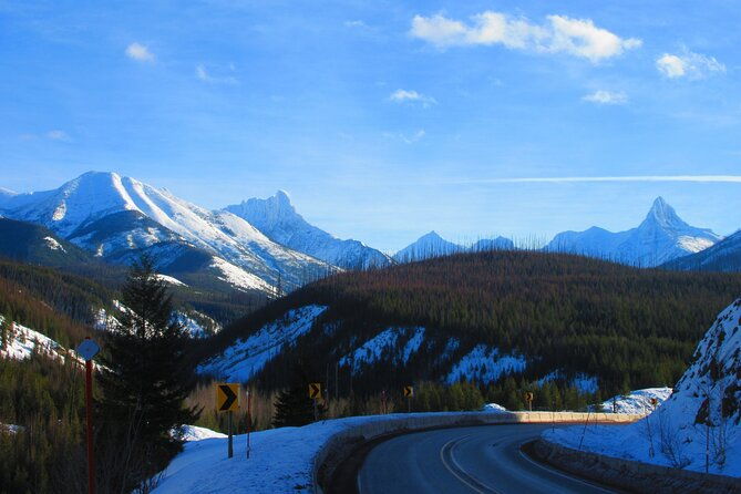combo-tour-driving-and-snowshoe-trek-of-glacier-national-park