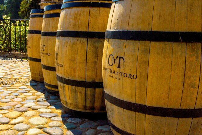 concha-y-toro-vineyard