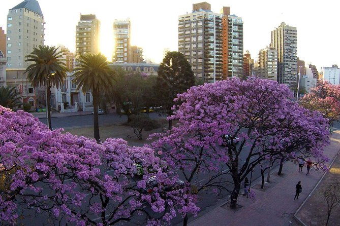 cordoba-city-tour-with-optional-jesuitic-square