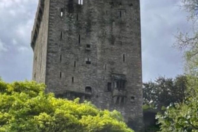 cork-city-to-blarney-castle-private-tour-in-modern-ac-minibus-3