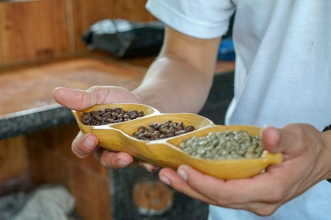 costa-rican-coffee-and-chocolate-crafting-experience-north-fields-cafe