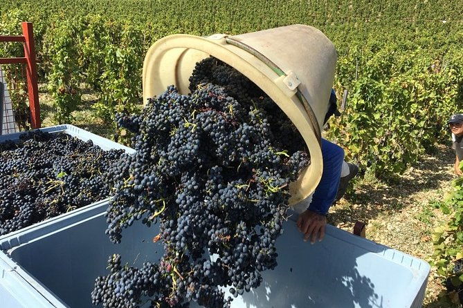 cotes-du-rhone-wine-tour-private-tour-full-day-from-lyon-2