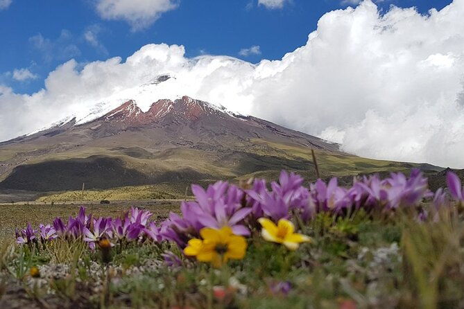 cotopaxi-hot-springs-of-papallacta-from-quito