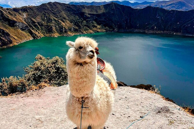 cotopaxi-quilotoa-banos-puyo-4d-3n-with-accommodation-and-transportation