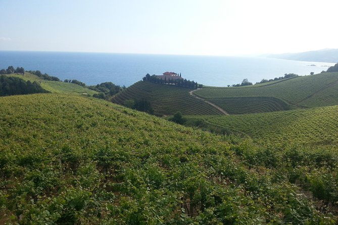 countryside-coast-private-tour