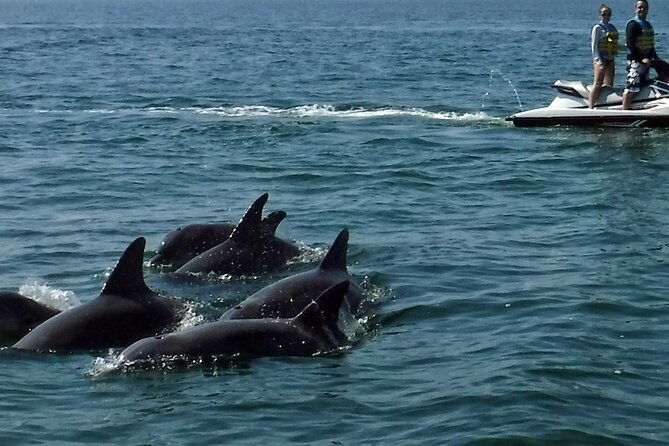 crab-island-dolphin-jetski-adventure-2