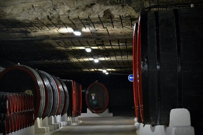 cricova-winery-spa-visit