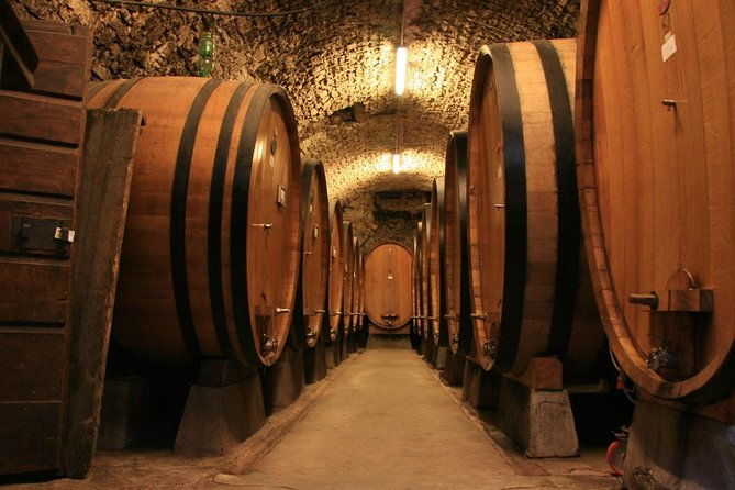 cricova-winery-tour-with-tasting-from-chisinau