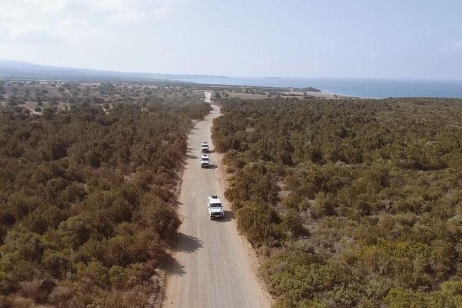 cruise-and-4x4-safari-tour-at-akamas-peninsula-from-limassol