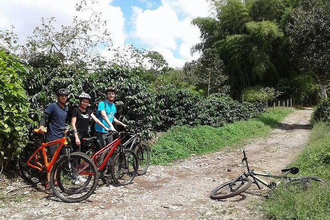 cultural-coffee-bike-tour