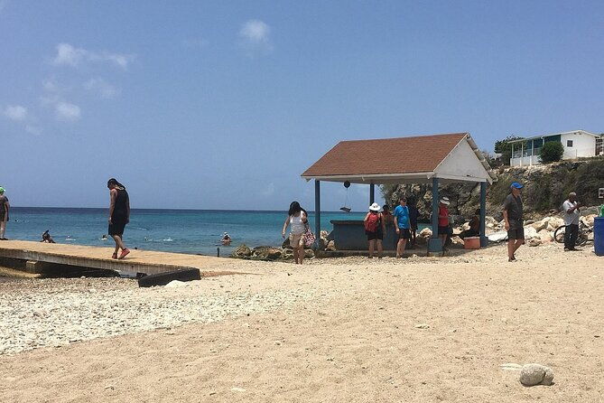 curacao-sea-turtle-swim-and-west-side-natural-highlights