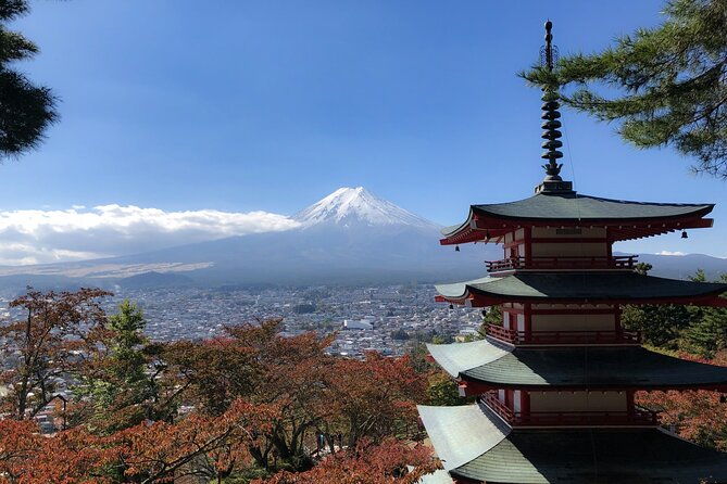 customizable-10-hour-private-tour-from-tokyo-to-mount-fuji