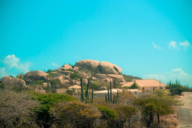 customized-aruba-island-private-tour-for-all-ages