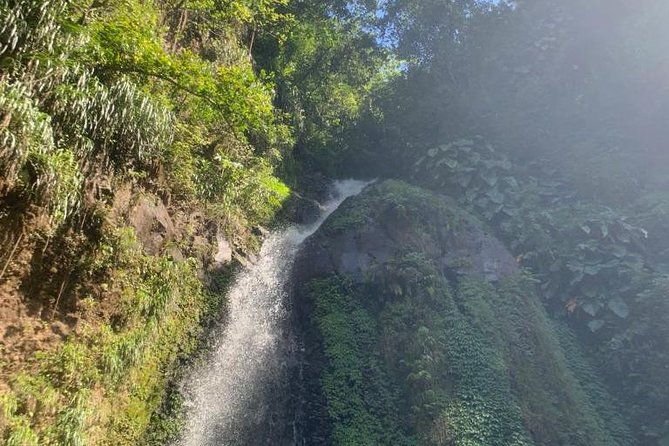 dark-view-falls-and-beach-tour-with-detention-tours